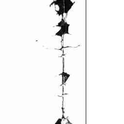 Image Tile