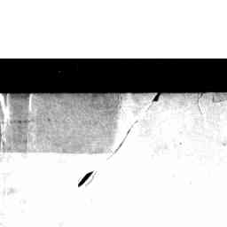 Image Tile