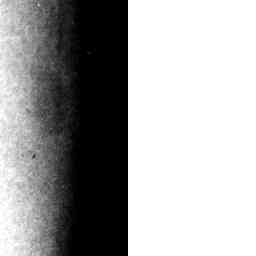 Image Tile
