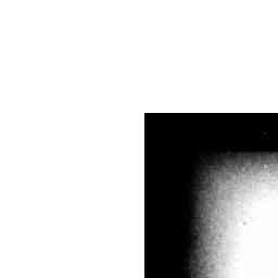 Image Tile