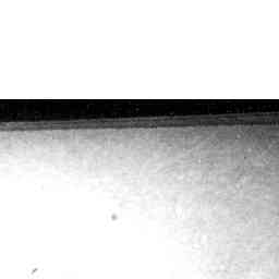 Image Tile