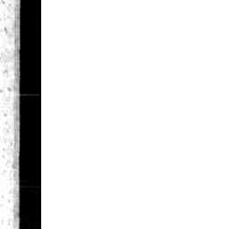 Image Tile