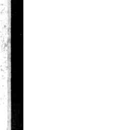 Image Tile