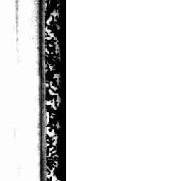 Image Tile