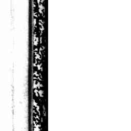 Image Tile