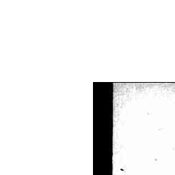 Image Tile
