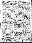 Page overview thumbnail