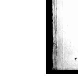 Image Tile
