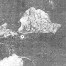 Image Tile