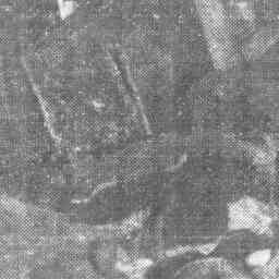 Image Tile