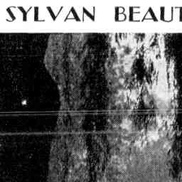 Image Tile