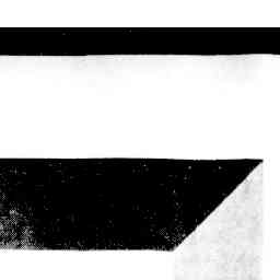 Image Tile