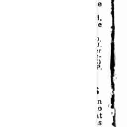 Image Tile