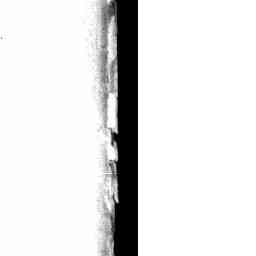 Image Tile