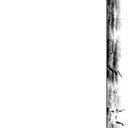 Image Tile
