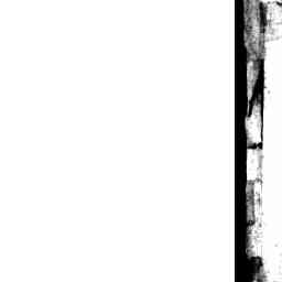 Image Tile