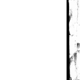 Image Tile