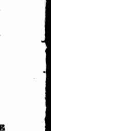 Image Tile