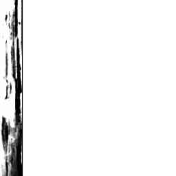 Image Tile