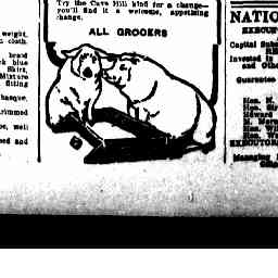 Image Tile