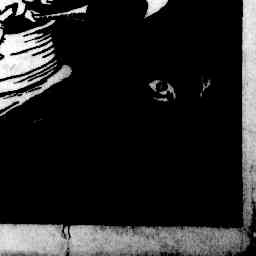 Image Tile