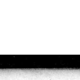 Image Tile