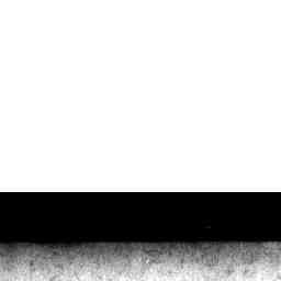 Image Tile