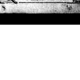 Image Tile