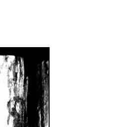 Image Tile