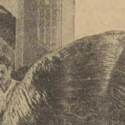 Image Tile