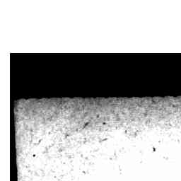 Image Tile