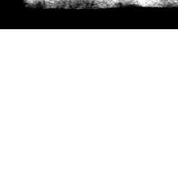Image Tile