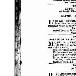 07 Dec 1887 - Advertising - Trove