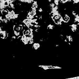 Image Tile