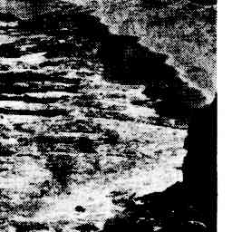 Image Tile