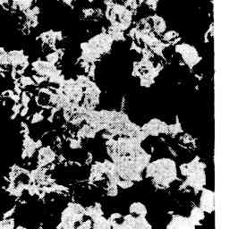 Image Tile
