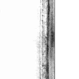 Image Tile