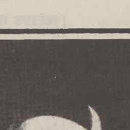 Image Tile