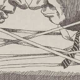 Image Tile