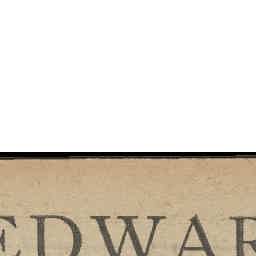 Image Tile