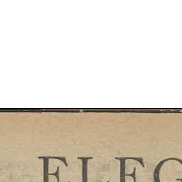 Image Tile