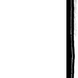 Image Tile