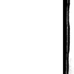 Image Tile