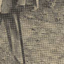 Image Tile