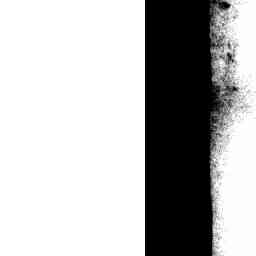 Image Tile