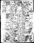 Page overview thumbnail