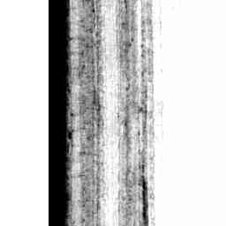 Image Tile