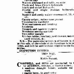 09 Jan 1896 - Advertising - Trove