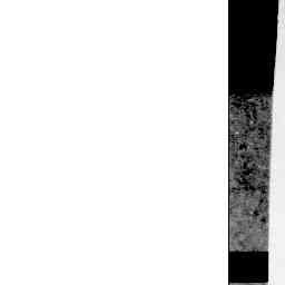 Image Tile