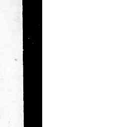 Image Tile